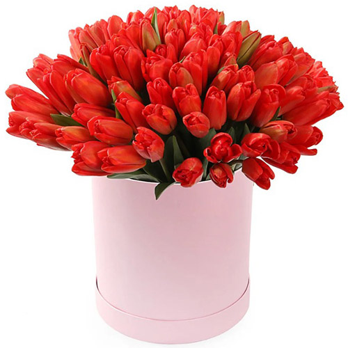 Фото товара 101 червоний тюльпан у коробці в Івано-Франківську
