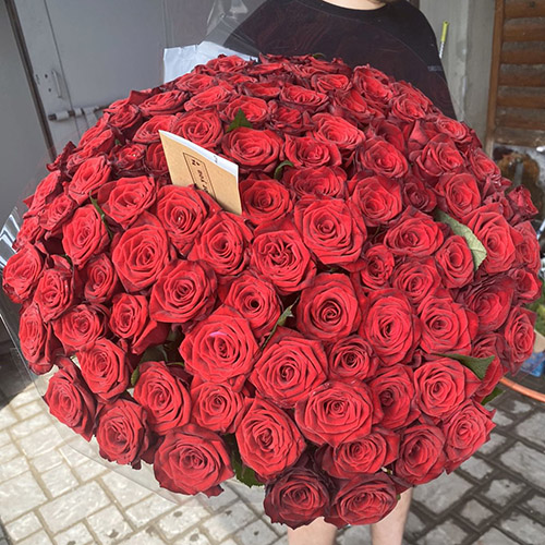 категория товаров 101 Троянда - Івано-Франківськ