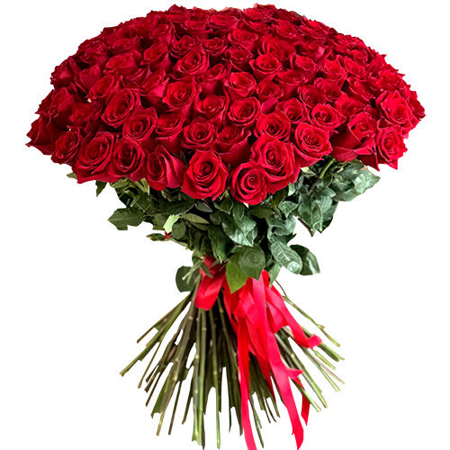 Фото товара 101 троянда червона в Івано-Франківську