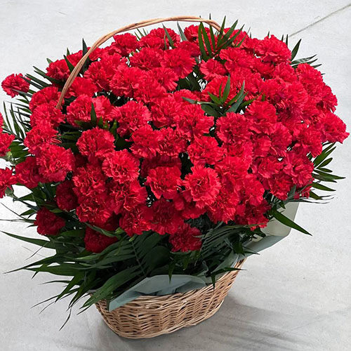 Фото товара 100 гвоздик у кошику в Івано-Франківську